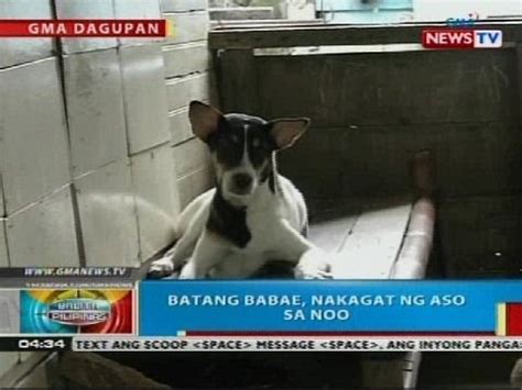 nagpa kantot sa aso